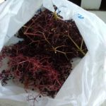 Elderberries